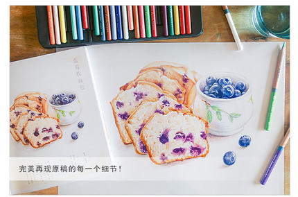 Color pencil drawing book 32 c - Food And Snacks Coloring Book recension och pris